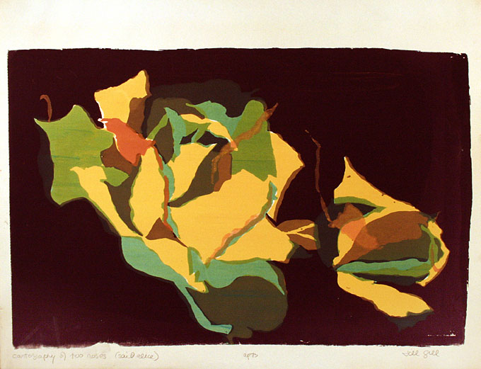 CARTOGRAPHY OF TWO ROSES by Jill Gill