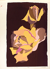 Jill Gill CARTOGRAPHY OF TWO ROSES Series