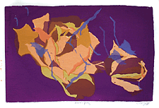 Jill Gill CARTOGRAPHY OF TWO ROSES Series